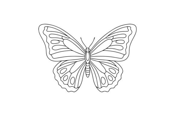Butterfly Outline Graphics & Coloring Pages Amp