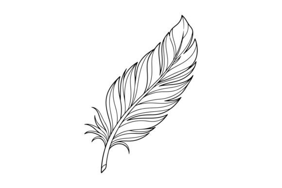 Delicate Feather Outline: Graphics & Illustrations