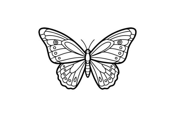 Ornate Butterfly Outline Art: Graphics & Illustrations Review