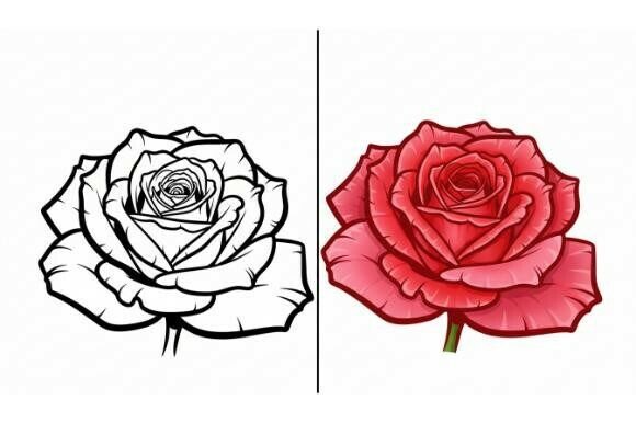 Rose Line Art Review: Graphics & Coloring Pages Amp