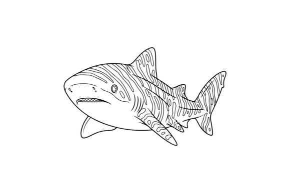 Shark Swimming Underwater Vector Graphics & Illustrations