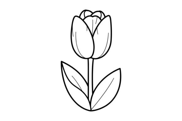 Single Tulip Illustration – A Graphics & Illustrations Review